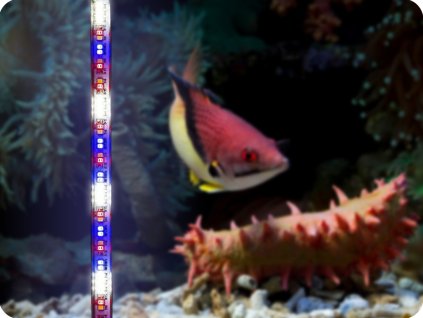 AQUAEL AKVARIJSKA RAZSVETLJAVA LEDDY TUBE 17W PLANT 2.0