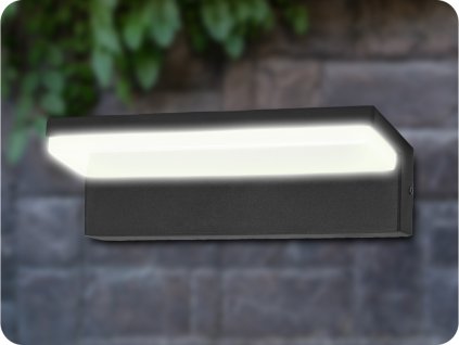 LED STENSKA ZUNANJA SVETILKA PACHIRA 9W, 500LM, IP54, 4000K, ČRNA [AD-OP-6576BLPM4]