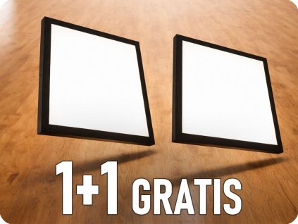 25429 1+1 gratis