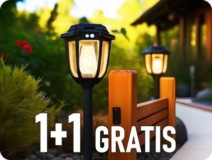 25446 1+1 gratis