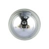 LED svetilka za bazen, 8W, 800lm, PAR56, 12V, IP68, modra