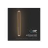 LED stenska svetilka 17W 2160Lm rjavo-rdeča CORTEN IP65/2-PACK!