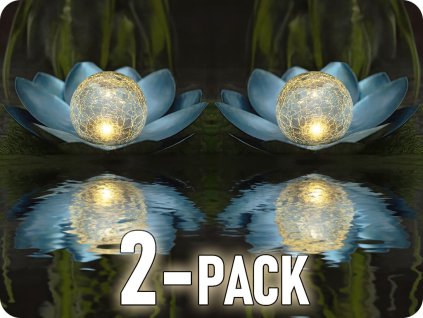 20749 2 pack