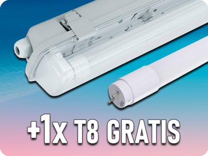 25264 +1x25248 gratis