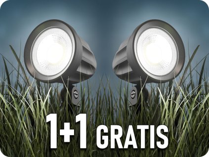 25291 1+1 gratis