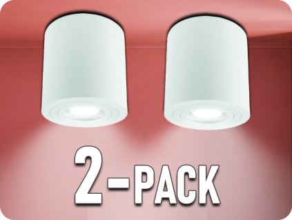 25020 2 pack
