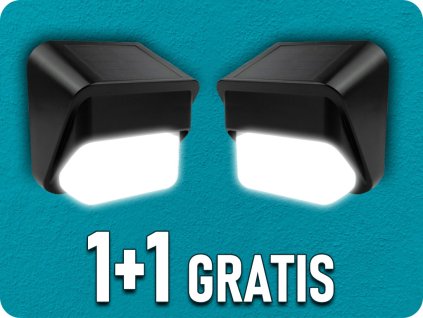 101221 1+1 gratis