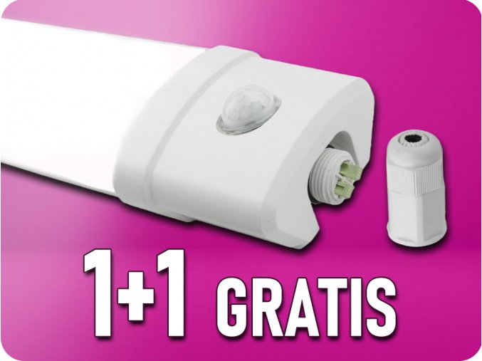 12312 1+1 gratis