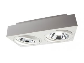 Lampa wpuszczana Spectrum na żarówkę 2xAR111 biała[SLIP005049]