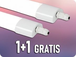 25251 1+1 gratis