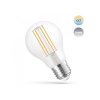 Żarówka LED SMART Retro E27, A60, 5W, 680lm, COG, CCT, ściemnialna [WOJ+14418]