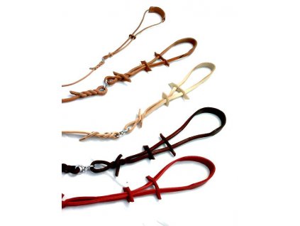 Ausstellung hundeleine aus lederschnur mit breiter halsband  Vorführleine aus Leder