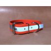 Reflex Hundehalsband mit Schnalle  Reflektierendes Hundehalsband