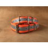 Reflex Hundehalsband mit Schnalle  Reflektierendes Hundehalsband