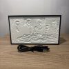 LED 3D Fotorámik podľa vašej fotografie