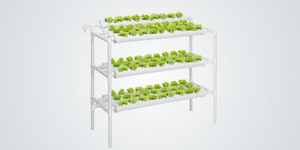 Hidroponikus saláta termesztés NFT Urban Hydro 108 rendszerben