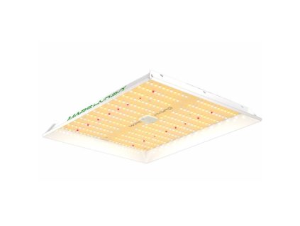 56939 9 mars hydro ts1000 quantum board