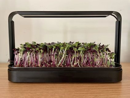 60337 microgrow microgreens