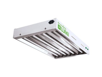 lumii