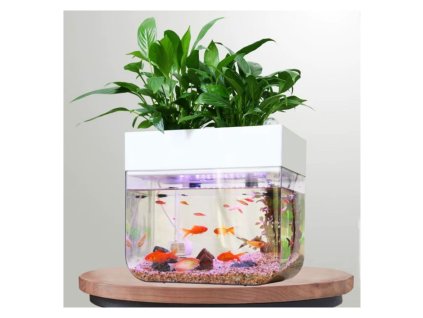 mini aquaponics Indoor system 1