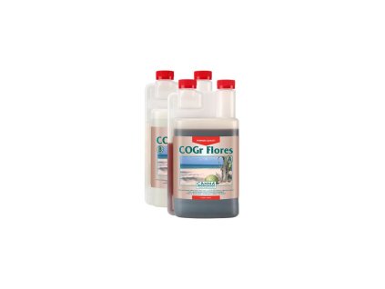 56184 1 canna cogr flores a b 10 l