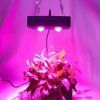 56969 1 38063 1 grow led panel cob 100w lencsevel