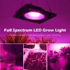 57314 3 led grow reflektor 50w pro microgreens 3