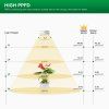 60304 2 sansi 2x 10w sticker grow lamp06