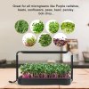 60337 2 microgrow microgreens 4