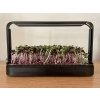 60337 microgrow microgreens