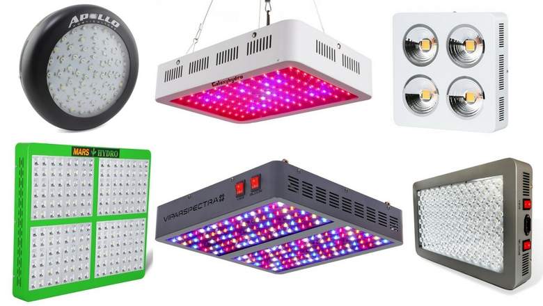 How to choose the best LED grow light?