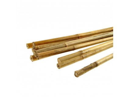 Bamboo stick, 120cm