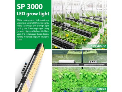SP3000 01
