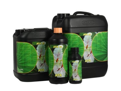Atami ATA-XL, 1L