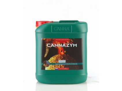 C ZY 10