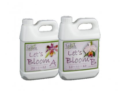 GET Lets Bloom A+B (GET Lets bloom A+B 4l)