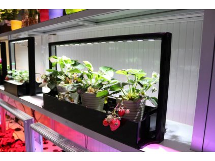 parus plant light mini farm m20