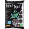 Root Riot 24 - planting cubes in the planter