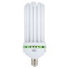 EnviroGro CFL 200w Cool White Lamp - 6400k
