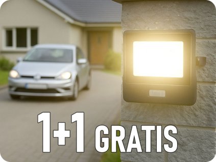 20256 1+1 gratis