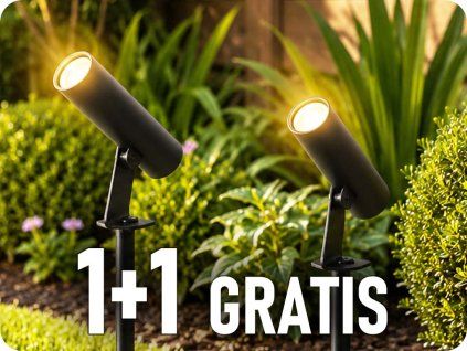 24006 1+1 gratis