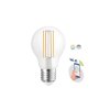 SMART Retro LED izzó E27, A60, 5W, 680lm, COG, CCT, szabályozható, dimmelhető [WOJ+14418]