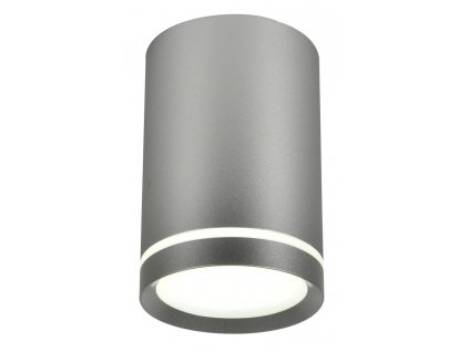 TUBE Lustr LAMP 1X15W GU10 6,8/10 SILVER MAT