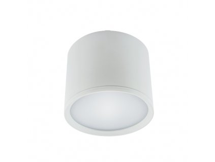 4042 stropne bodove prisadene svietidlo rolen led 10w white neutral white