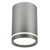 TUBE Lustr LAMP 1X15W GU10 6,8/10 SILVER MAT