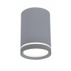 TUBE Lustr LAMP 1X15W GU10 6,8/10 GRAY