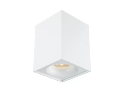 6991 stropne bodove prisadene svietidlo sofia square ozzo 1w w gu10 white