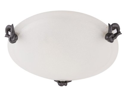 Lamp Stropné svietidlo EVA 30 1X60W E27