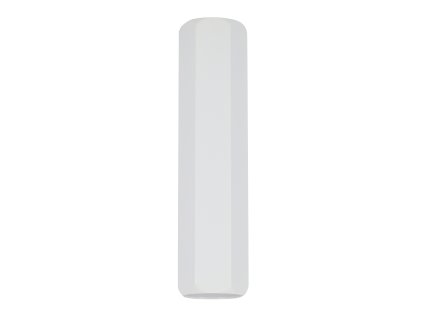 TUBE CEILING 1X25W GU10 6,3/25 WHITE