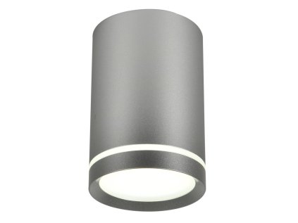 TUBE Luster LAMP 1X15W GU10 6,8/10 SILVER MAT